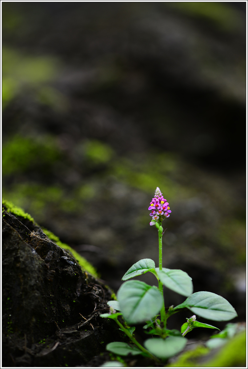 CJH_3734 완.jpg