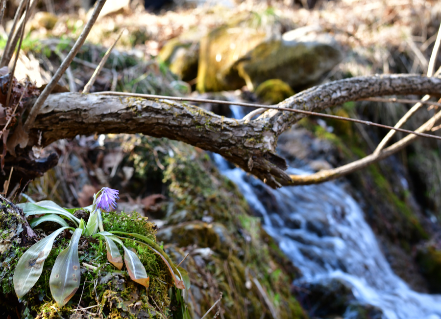 DSC_6914-1.jpg