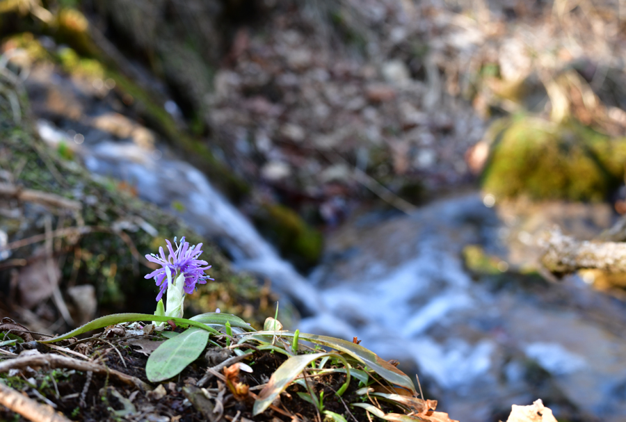 DSC_6945-1.jpg