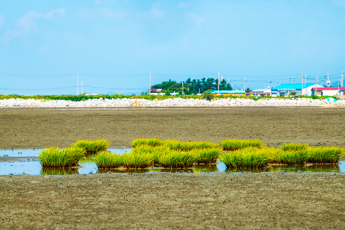 DSC_3809aa.jpg