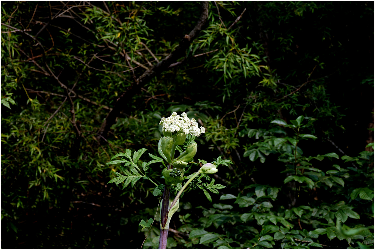 KHS02407.jpg