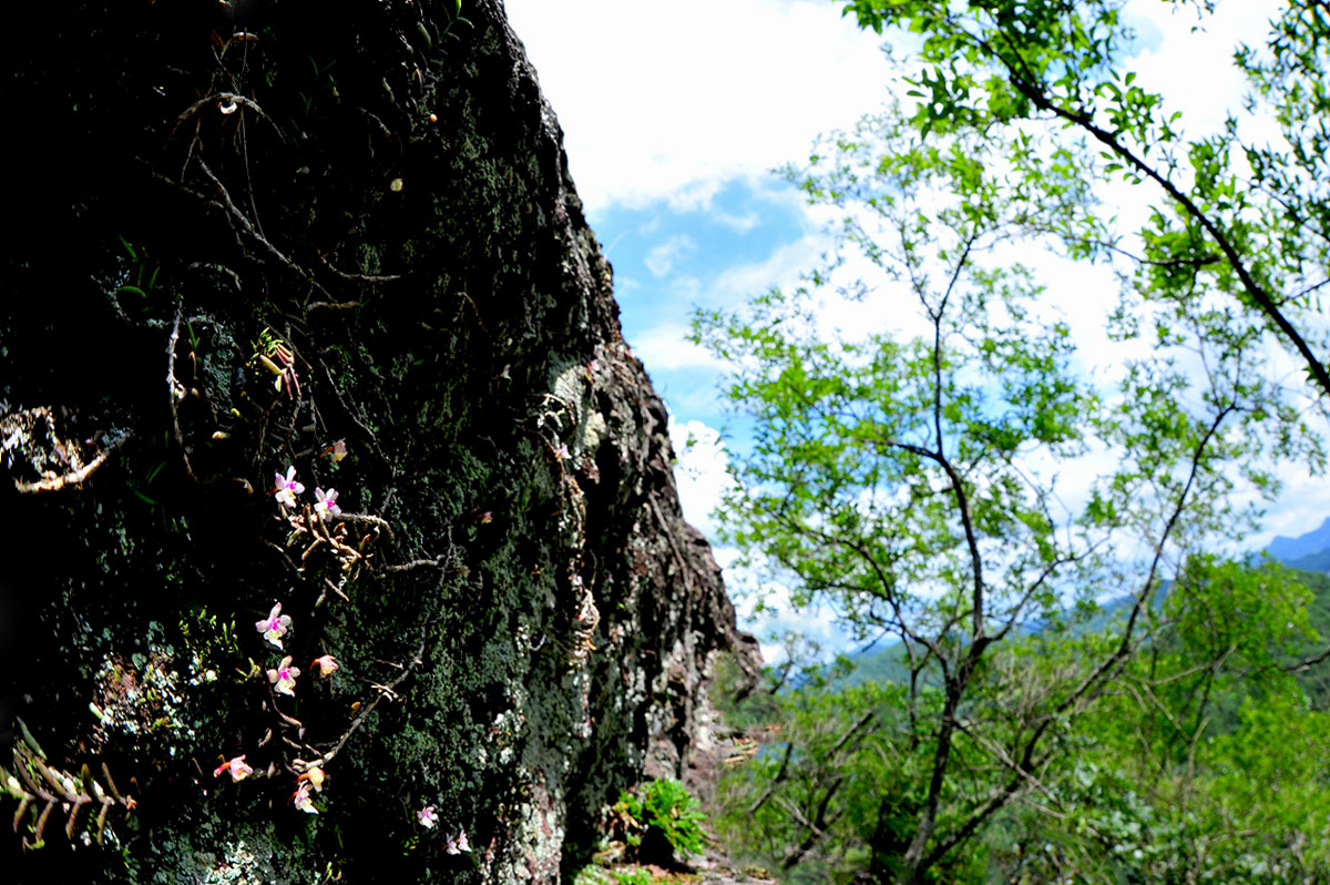 DSC_8563s.jpg