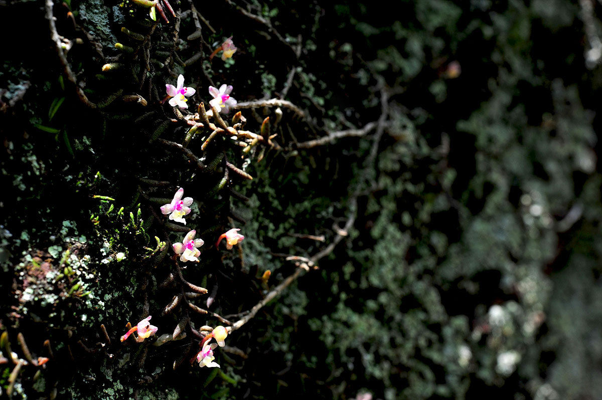 DSC_8571s.jpg
