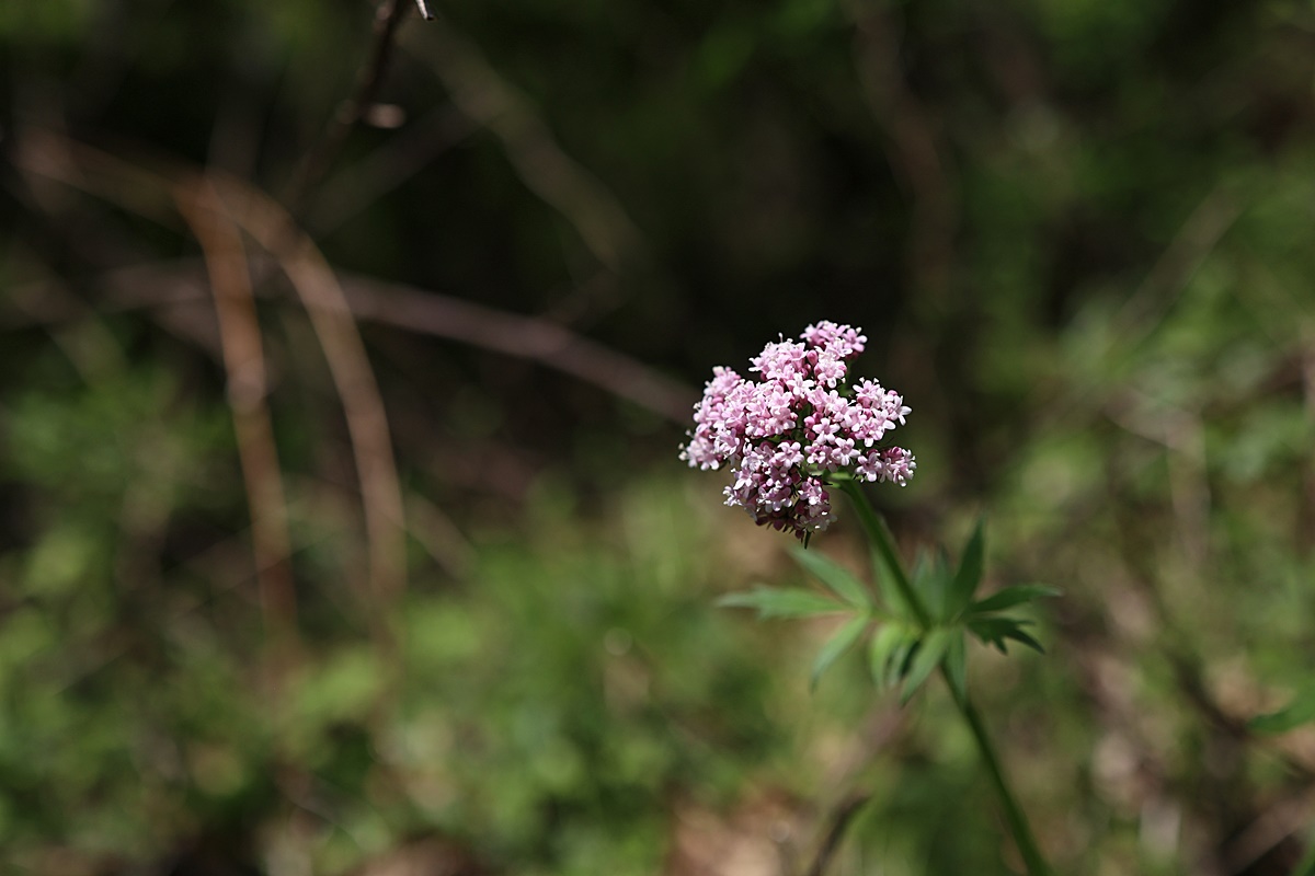 25-04-28 (23)-1.JPG