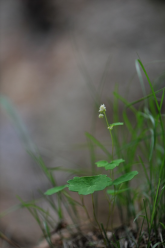 꾸미기_DSC_6605.jpg