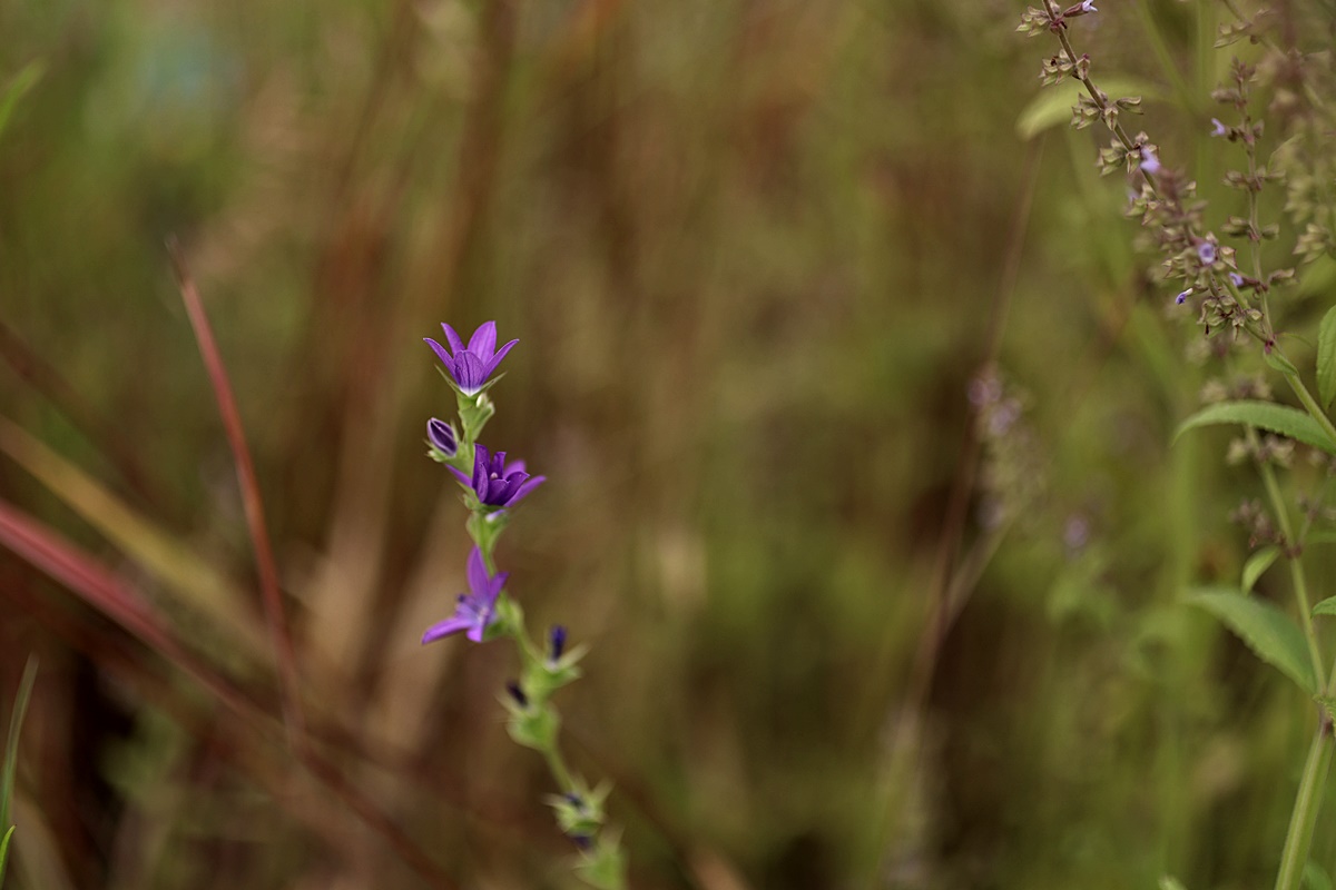 24-05-29 (5)-1.JPG