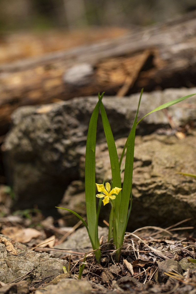 IMG_1507.jpg