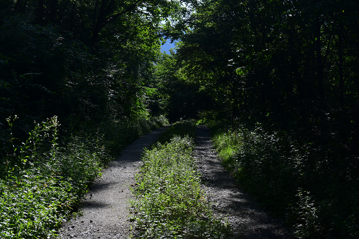 DSC_0708.jpg