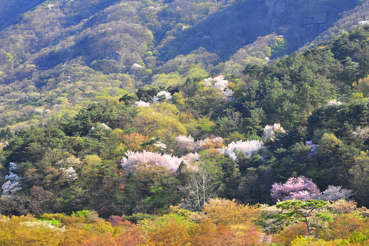 DSC_3969axv원본.jpg
