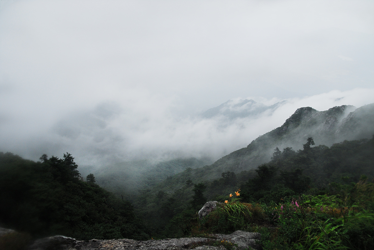 0808009d 633aaa.jpg