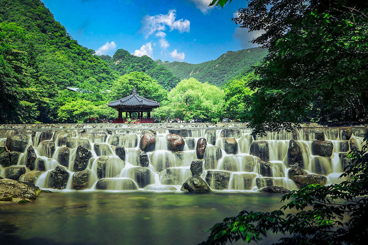101 복사 2.jpg