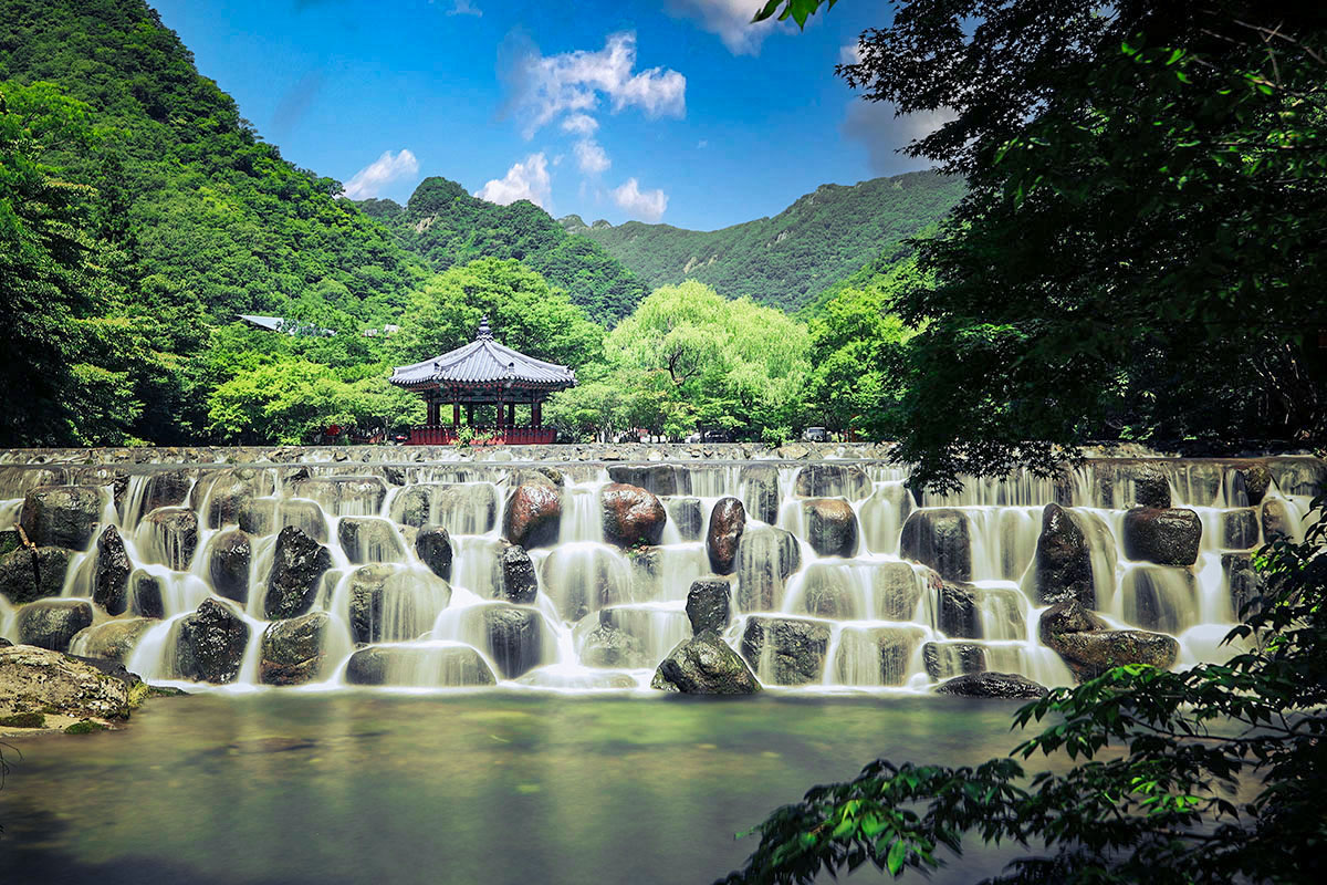 101 복사 2.jpg