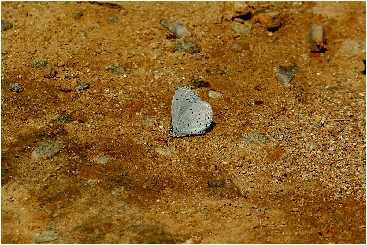 KHS09201.jpg