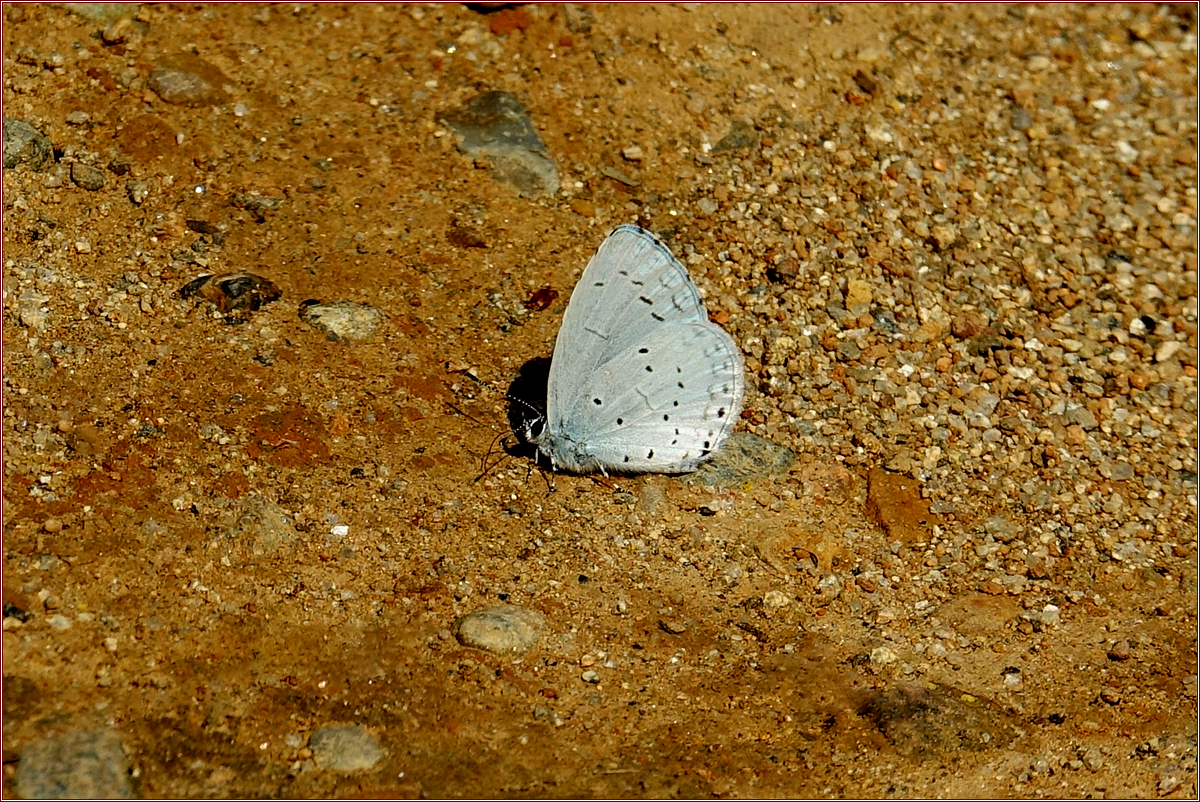 KHS09200.jpg