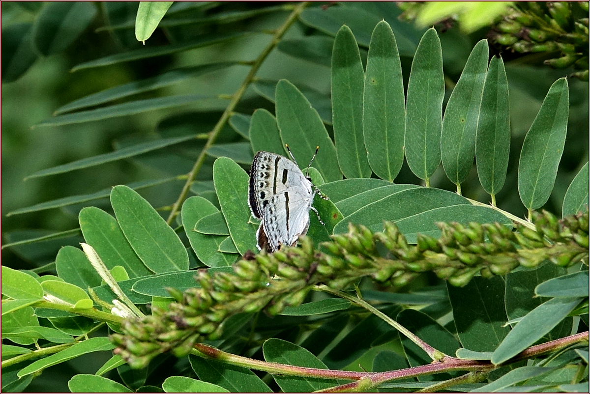 KHS03168.jpg