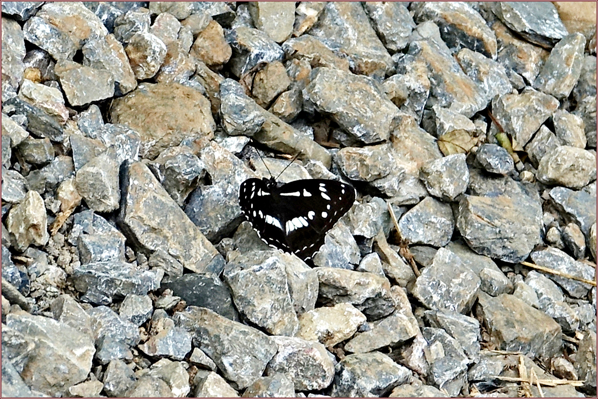 KHS03936.jpg
