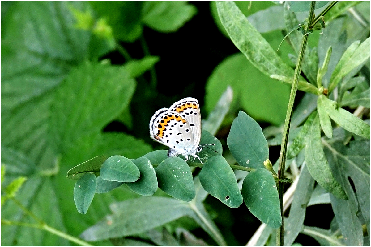 KHS03947.jpg