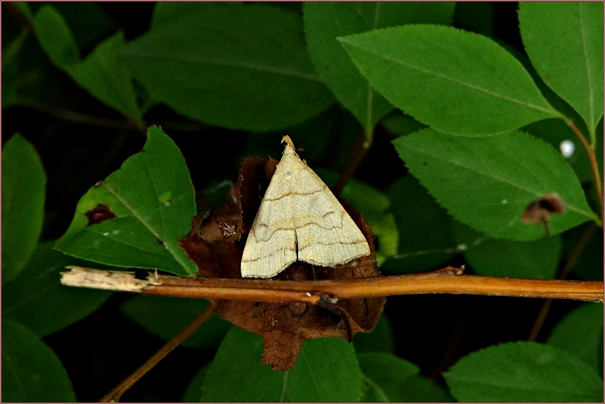 KHS07073.jpg