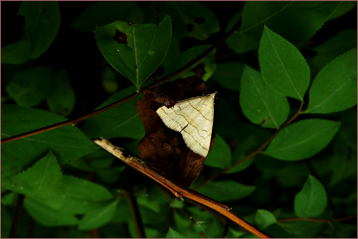KHS07074.jpg