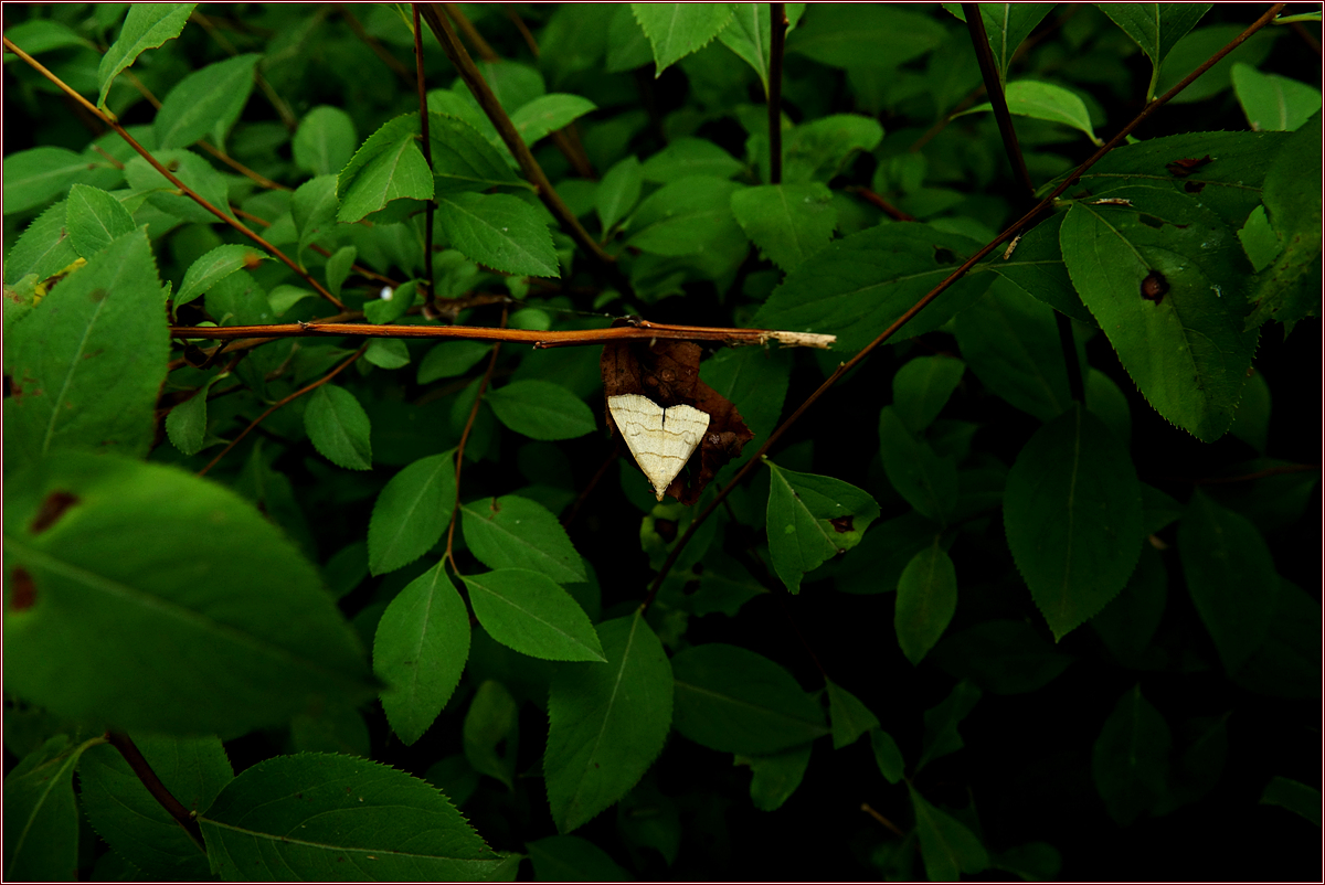KHS07075.jpg