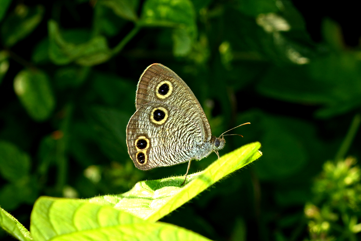 DSC06838.jpg