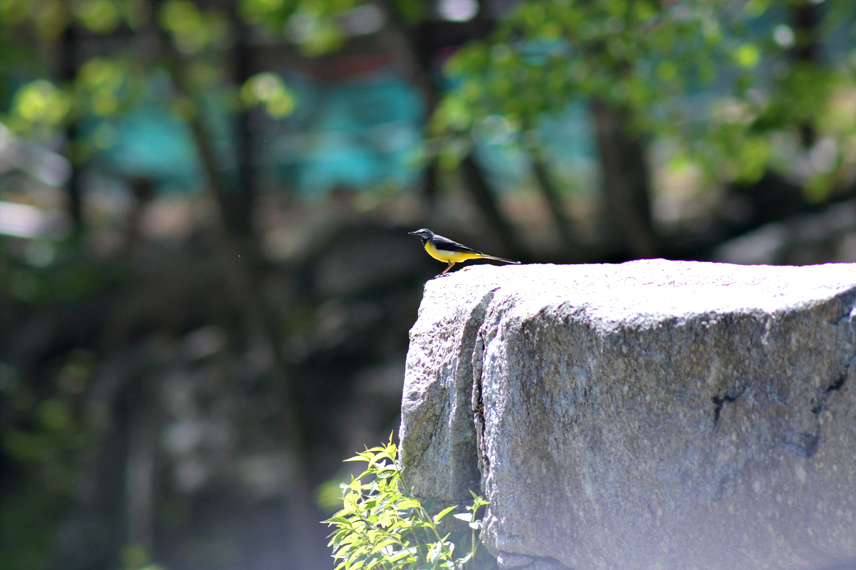 DSC_0560.jpg