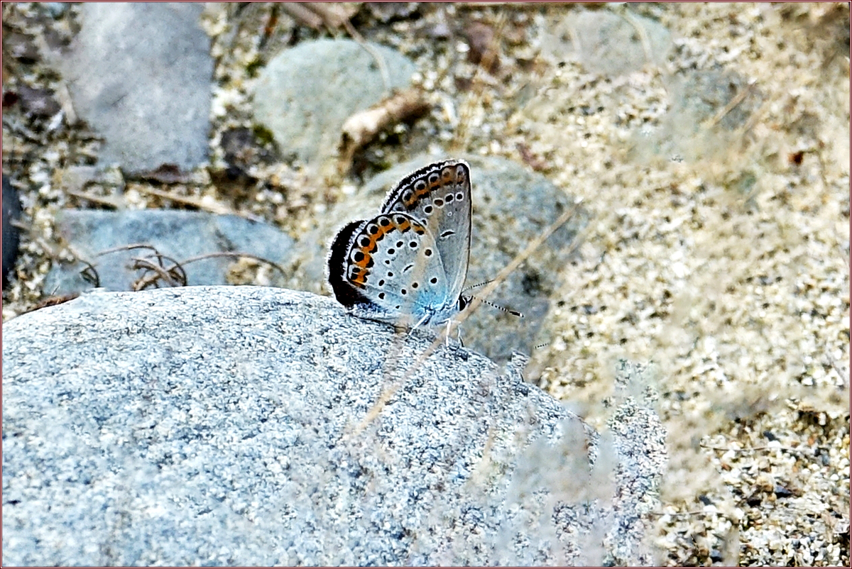 KHS03217.jpg
