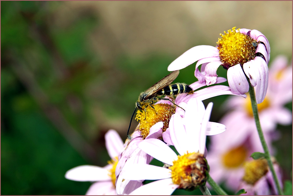 KHS09209 - 복사본.jpg