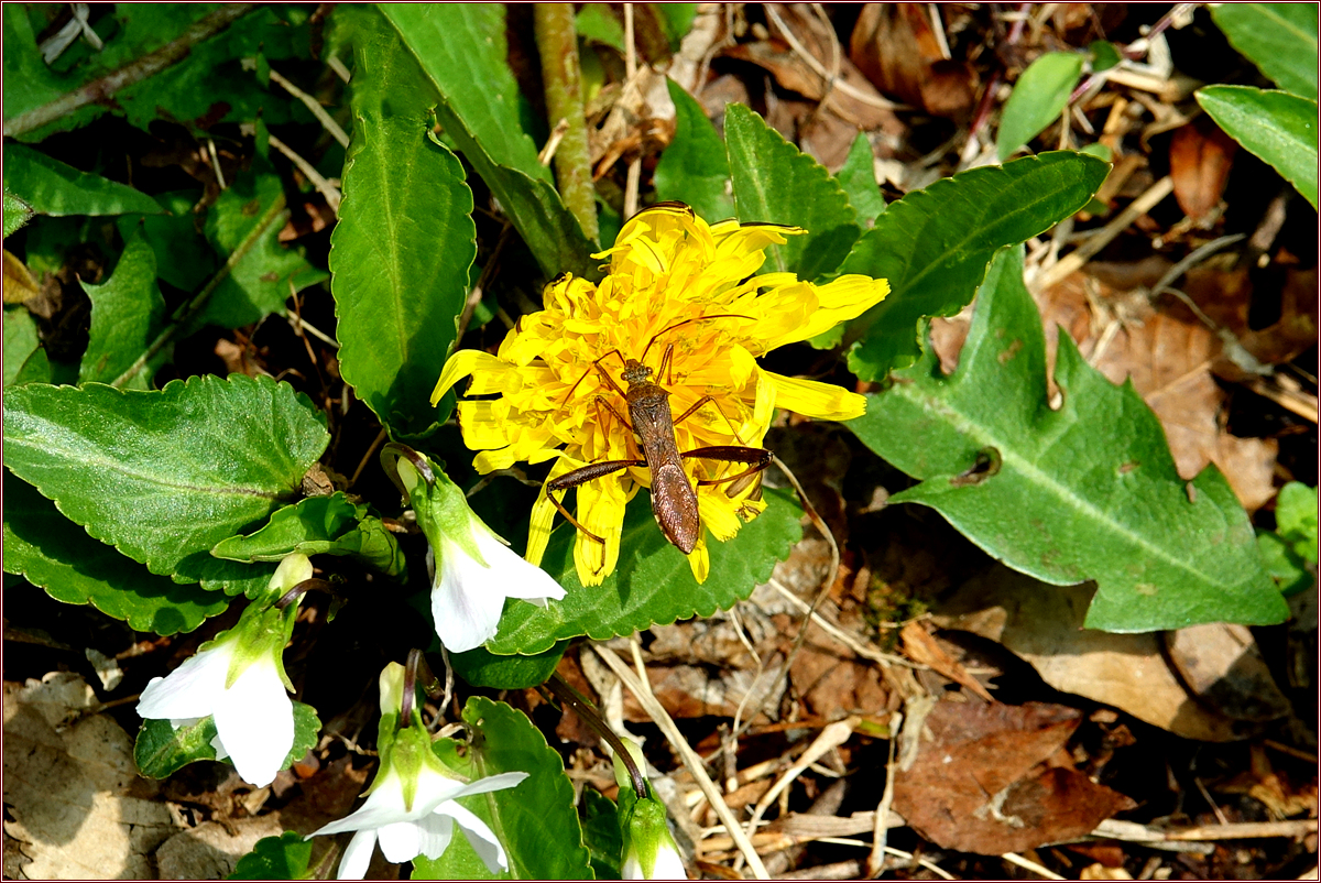 KHS09901.jpg
