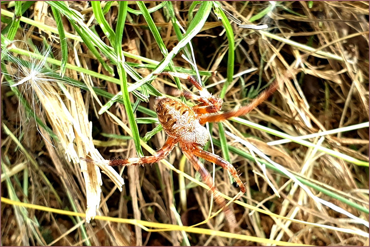 20190623_133017.jpg