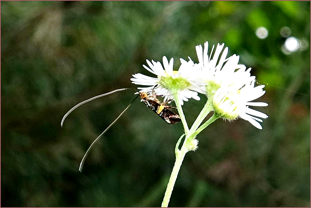 KHS01573.jpg