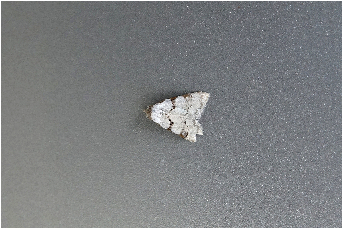 KHS01612.jpg