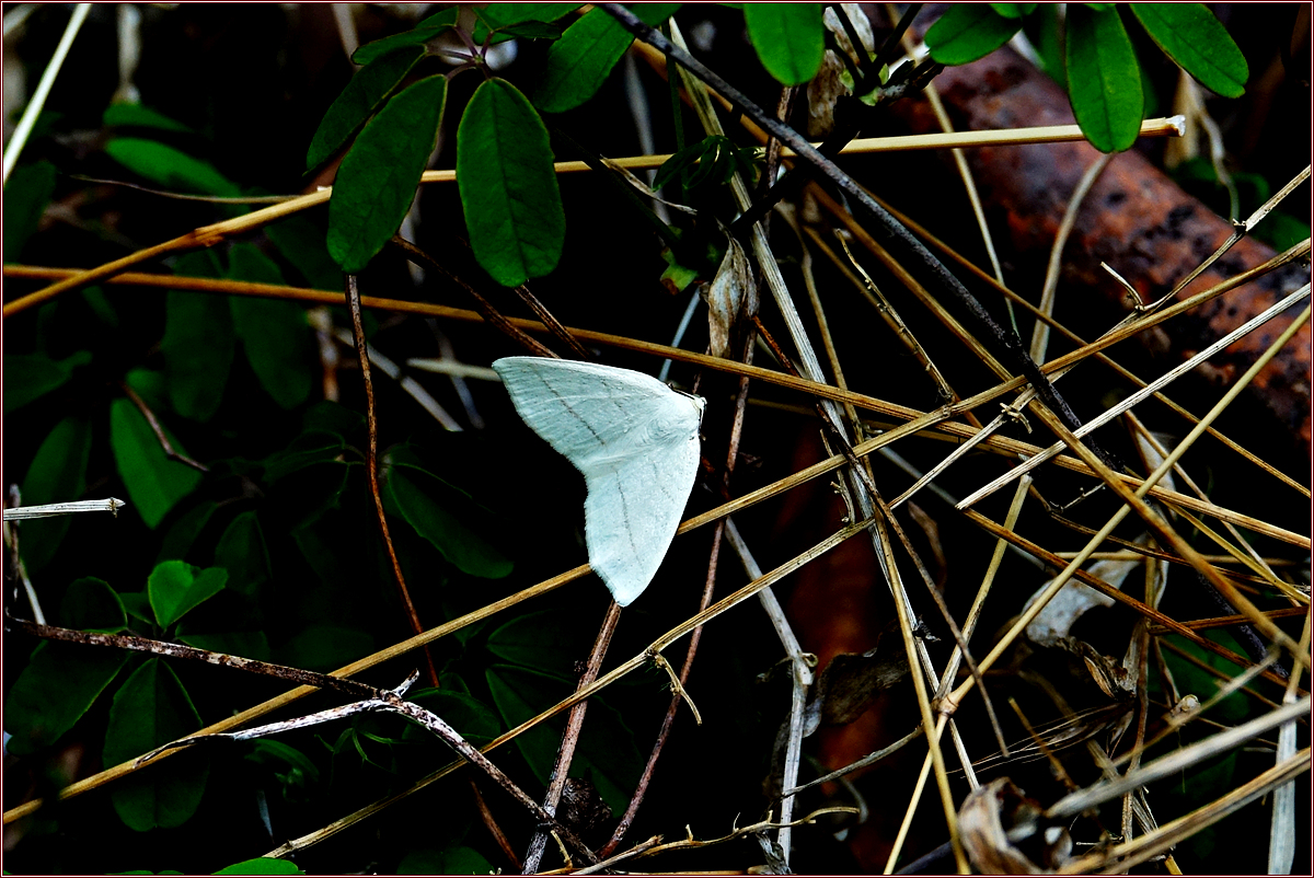 KHS09694.jpg