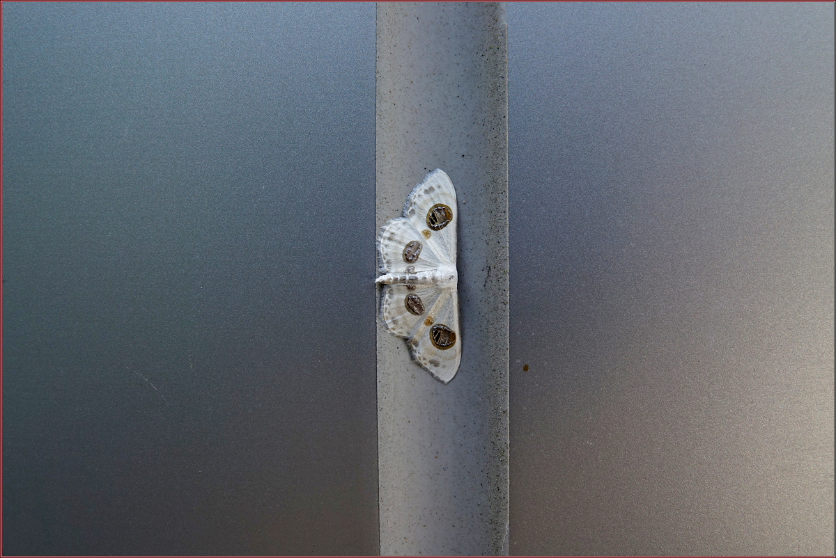 KHS01542.jpg