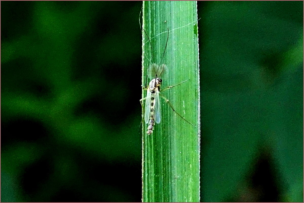 KHS07995.jpg
