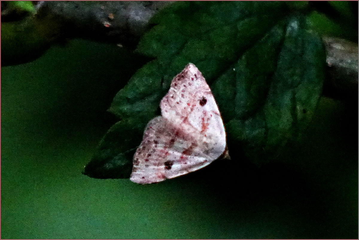 DSC05612.jpg