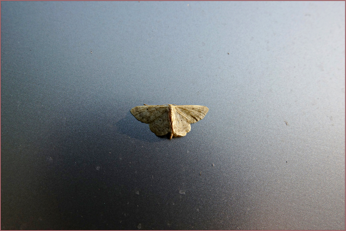KHS07376.jpg