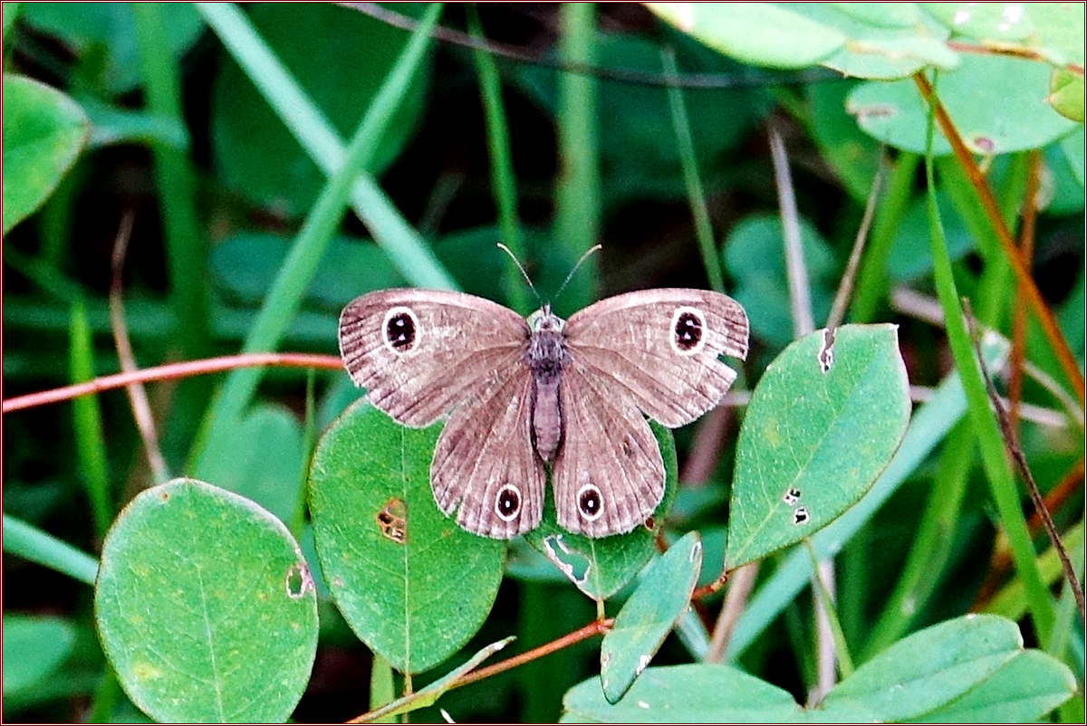 KHS06637.jpg