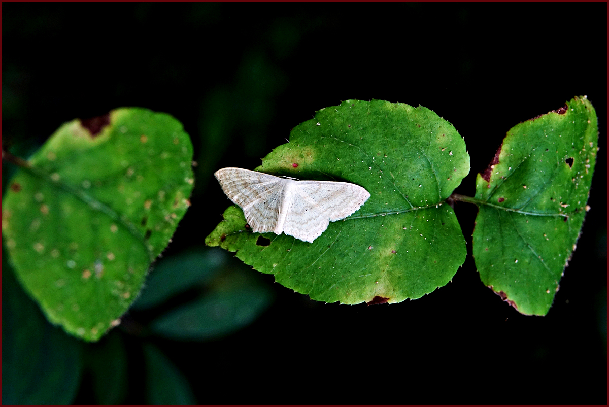 KHS04671.jpg