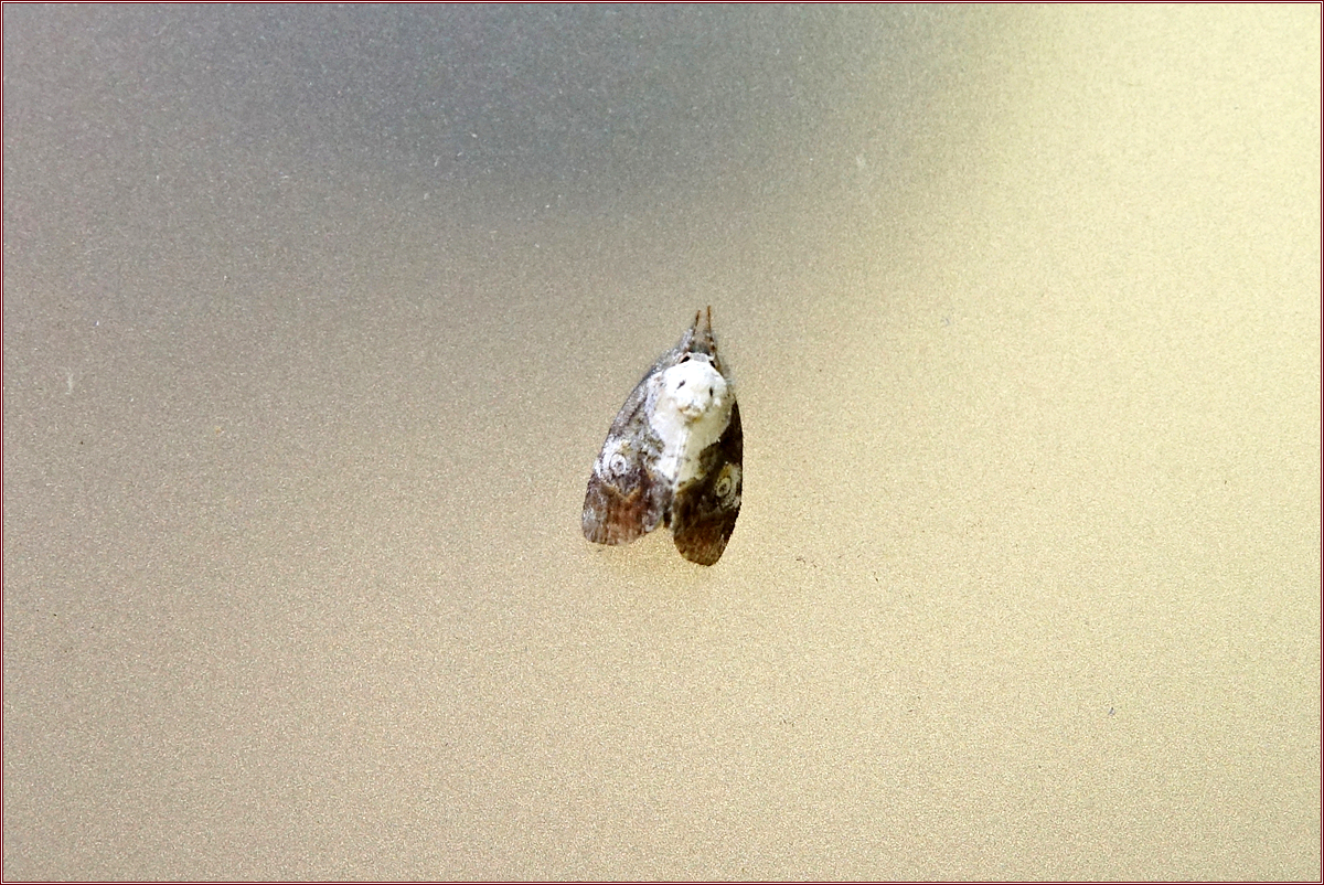 KHS00053.jpg