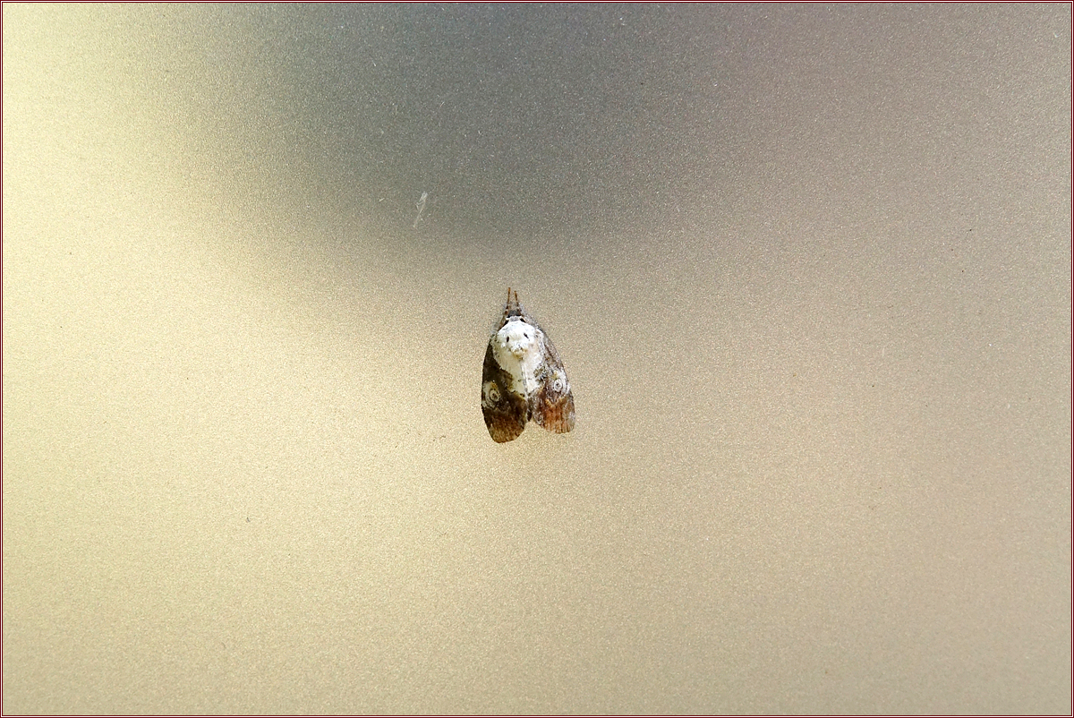 KHS00054.jpg