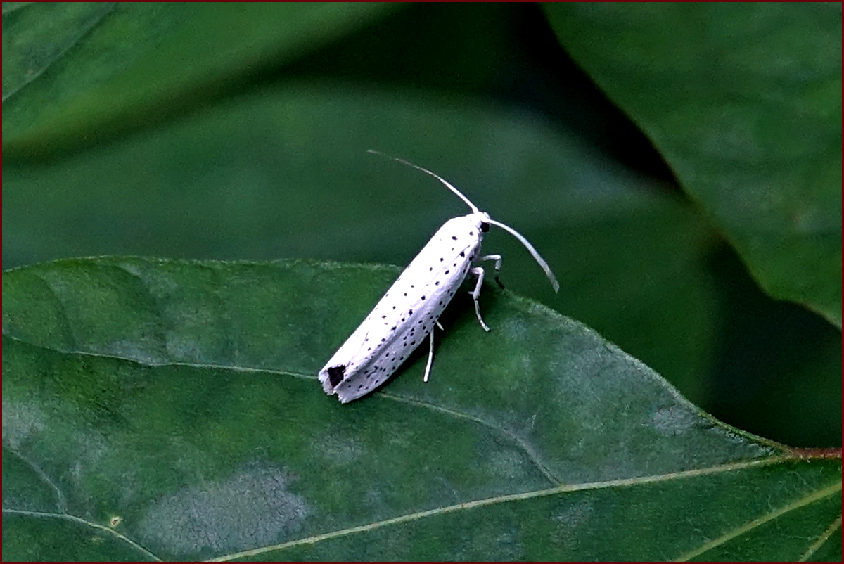 KHS03288.jpg