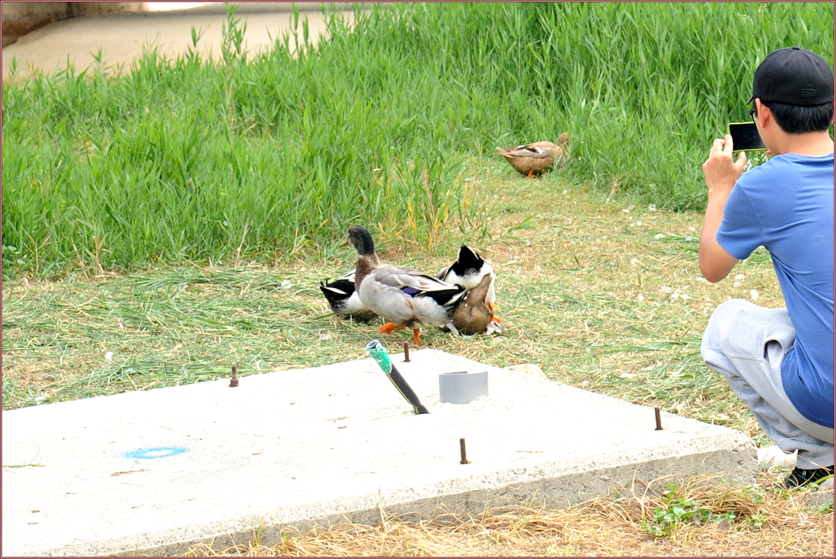 DSC_7675.jpg