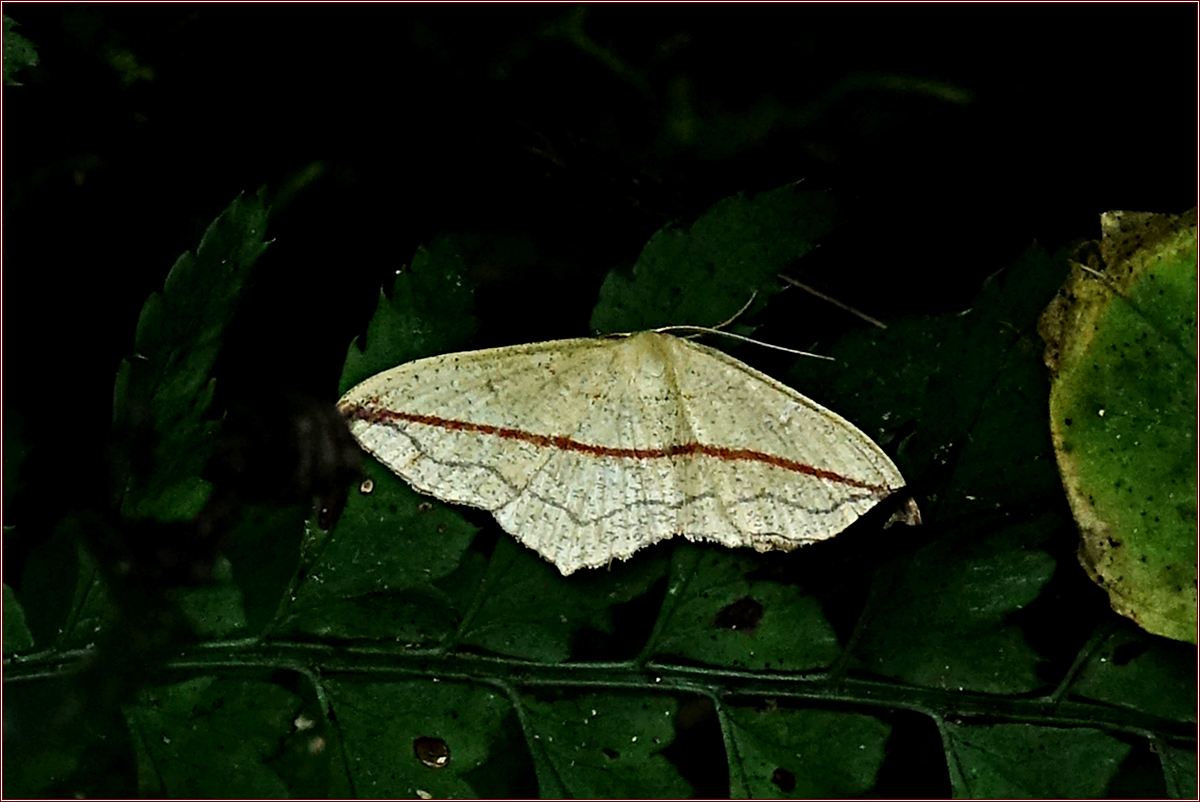 KHS09667.jpg
