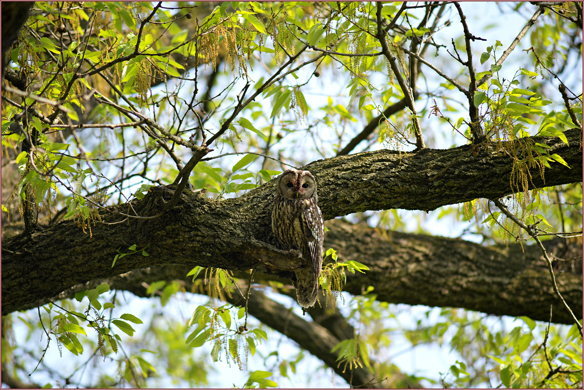DSC_0038.jpg