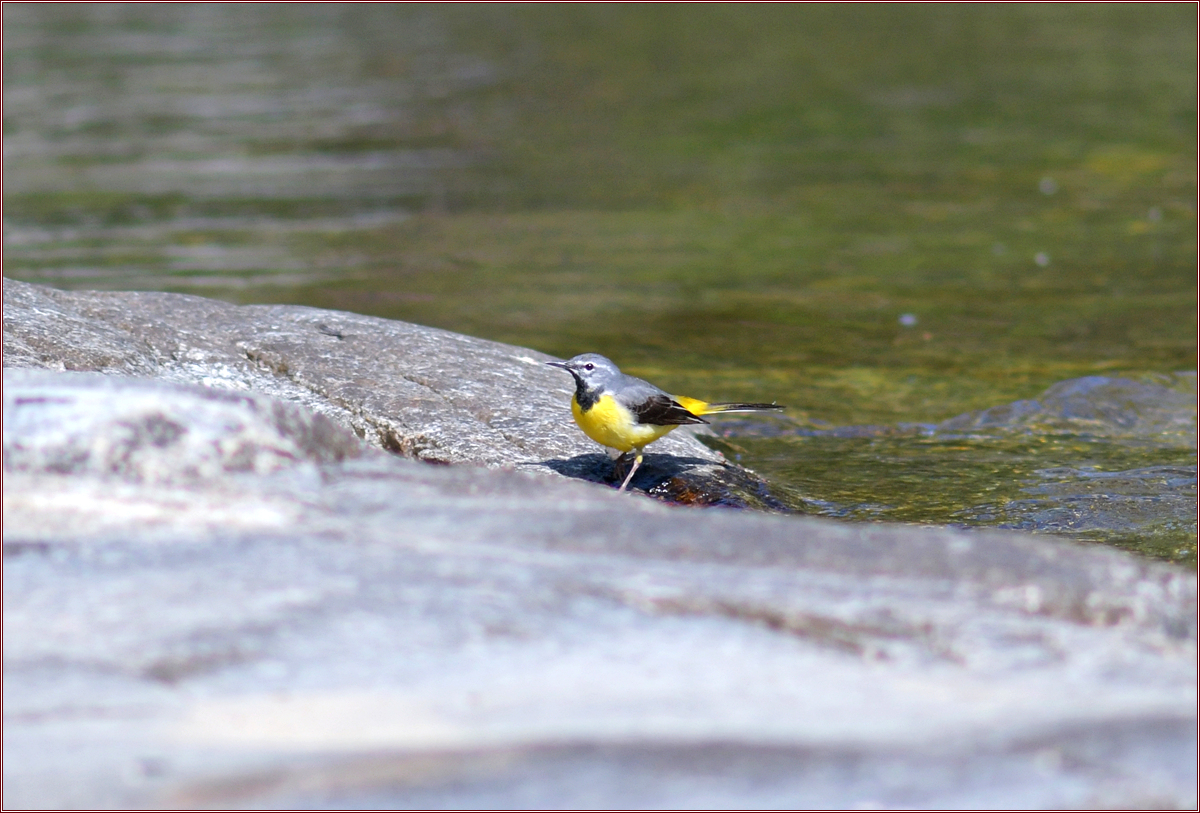DSC_0517.jpg