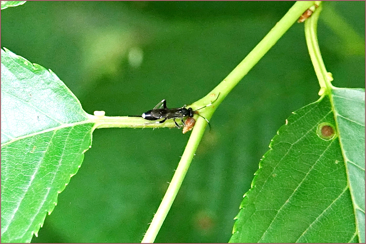 KHS06971.jpg
