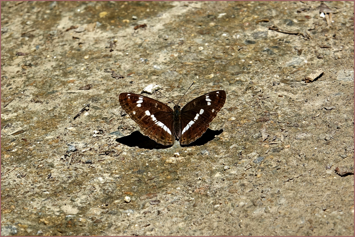 줄KHS03477.jpg