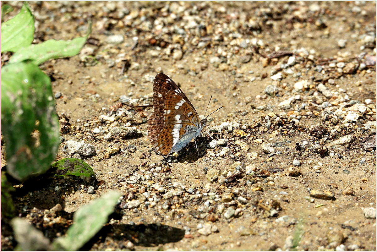 줄KHS03482 - 복사본.jpg