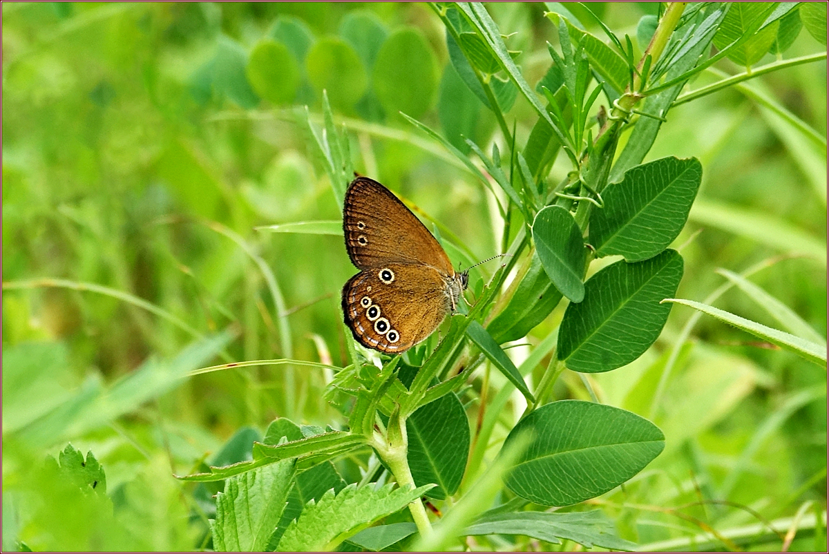 KHS02224.jpg